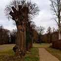 247Berlino2011_