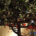 291Berlino2011_