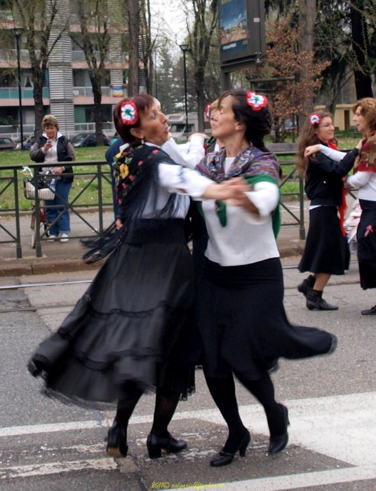 101CarnevaleVanchiglia2010