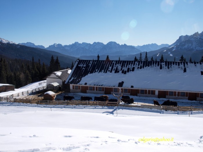 120Giro Malghe26012012_