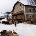056Dobbiaco23012012_